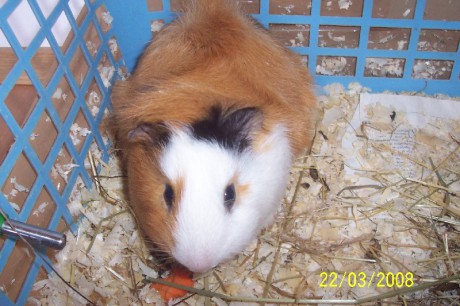 foto 345.jpg zmmm.jpg